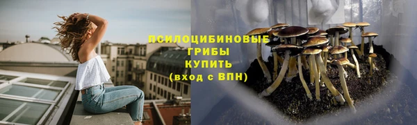 а пвп мука Богородск