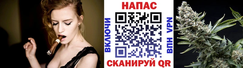 Марихуана Bruce Banner  Светогорск 